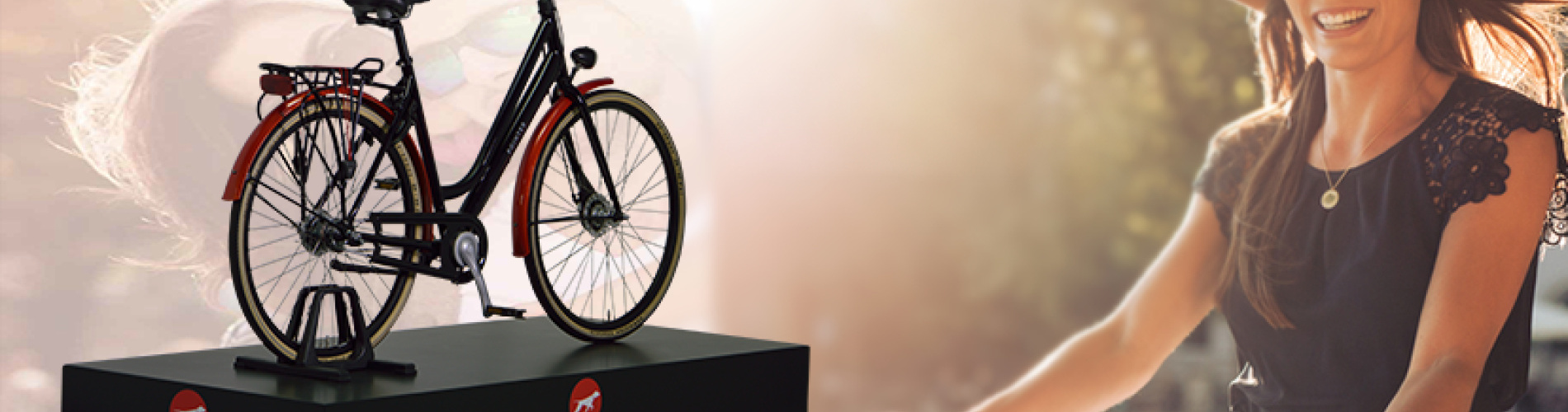 Basbike Tweewielerservice