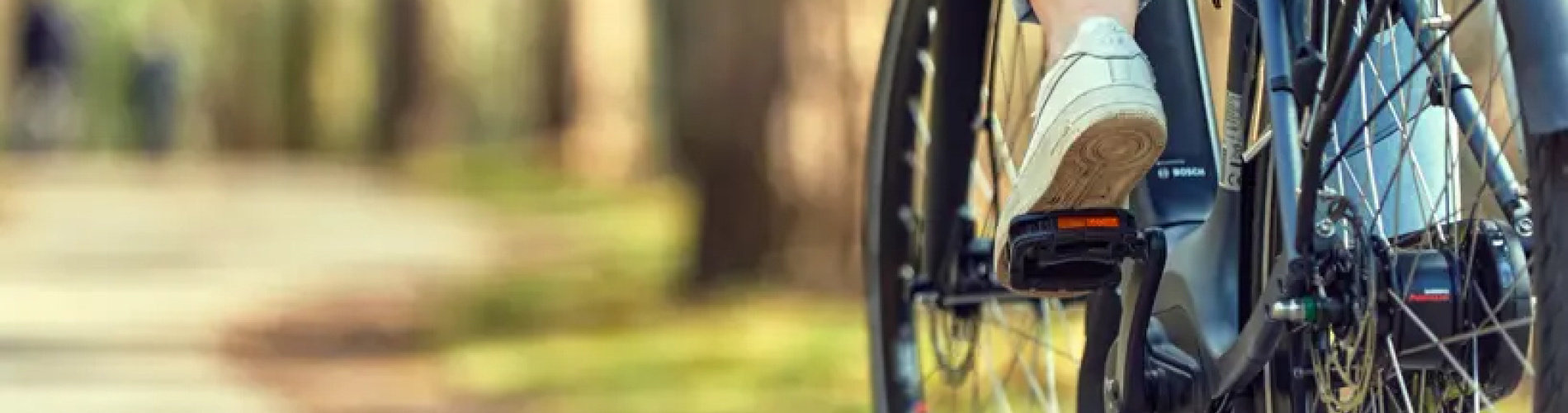 Basbike Tweewielerservice