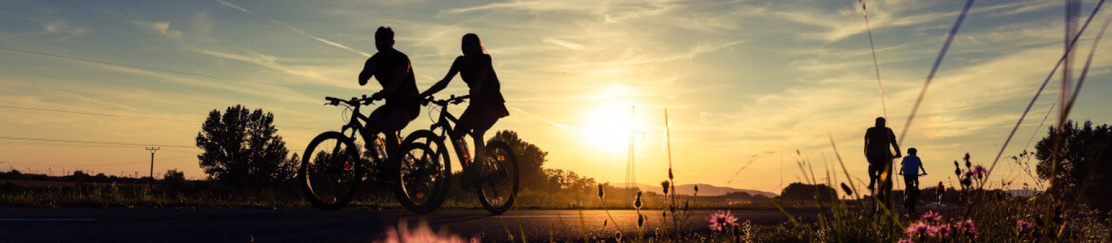 Basbike Tweewielerservice