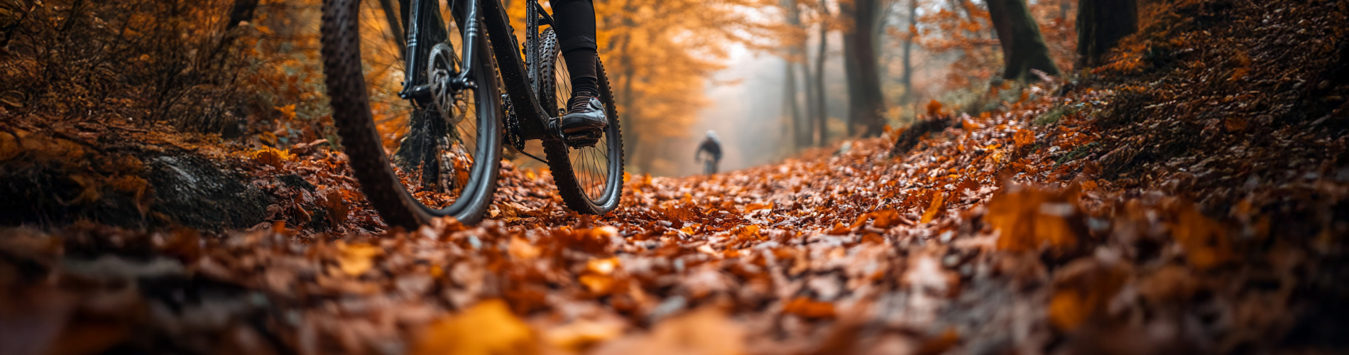 Basbike Tweewielerservice