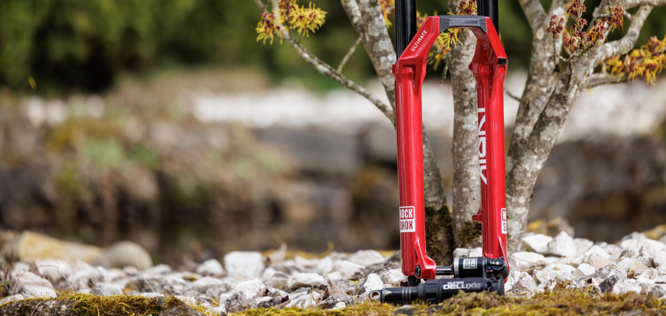 Basbike Tweewielerservice